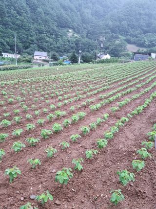 이상응님의 자유주제 · 자유게시판 작성글 사진