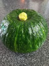 팜모닝 자유주제·자유게시판 게시글 이미지