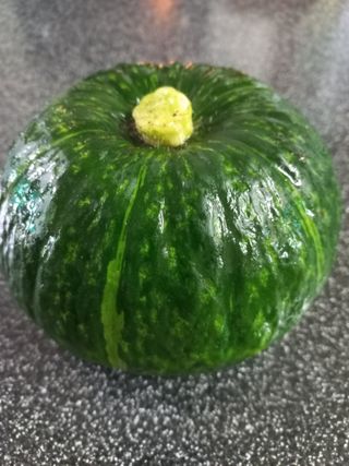 김재호님의 자유주제 · 자유게시판 작성글 사진