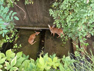 송곡농원님의 자유주제 · 자유게시판 작성글 사진