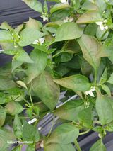 팜모닝 자유주제·자유게시판 게시글 이미지