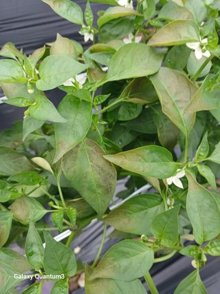 임동화님의 자유주제 · 자유게시판 작성글 사진