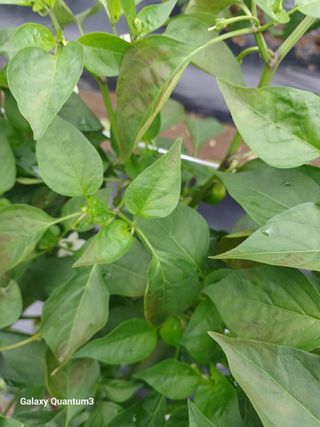 임동화님의 자유주제 · 자유게시판 작성글 사진