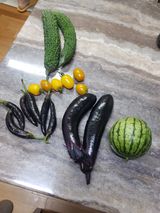 팜모닝 기타작물·영농일지 게시글 이미지