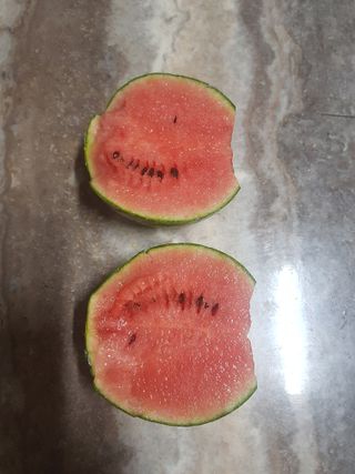 코알라님의 기타작물 · 영농일지 작성글 사진