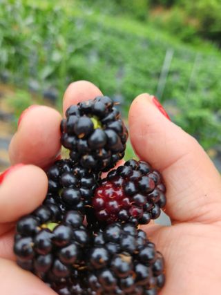 고영희님의 🍉여름을 나는 방법 · 참여글 작성글 사진