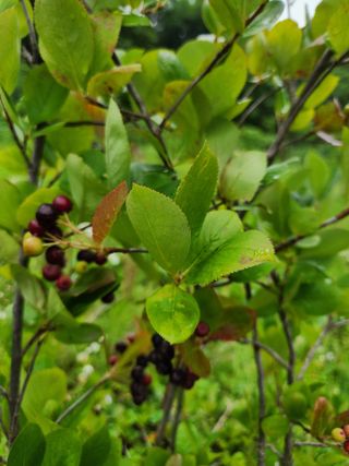 고영희님의 🍉여름을 나는 방법 · 참여글 작성글 사진