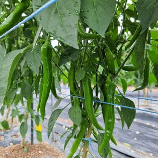 이종권님의 자유주제 · 자유게시판 작성글 사진