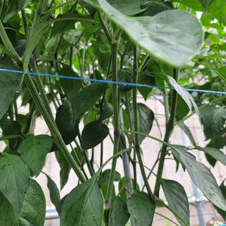 이종권님의 자유주제 · 자유게시판 작성글 사진