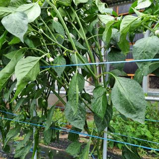 이종권님의 자유주제 · 자유게시판 작성글 사진