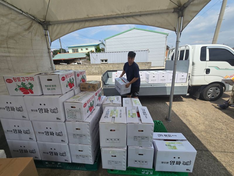 무안정농장님의 장터 판매 상품 [무안 저장 양파(만생종)] 첨부 사진