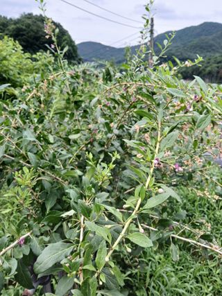 정구옥님의 자유주제 · 자유게시판 작성글 사진