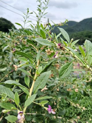 정구옥님의 자유주제 · 자유게시판 작성글 사진