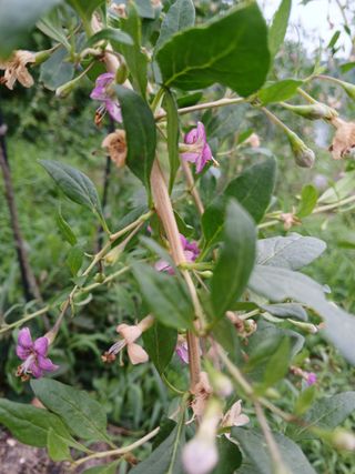 정구옥님의 자유주제 · 자유게시판 작성글 사진