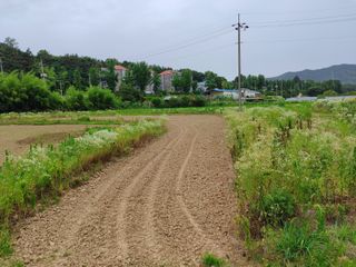 이건희님의 자유주제 · 자유게시판 작성글 사진