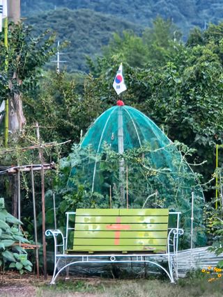 백승화님의 자유주제 · 자유게시판 작성글 사진