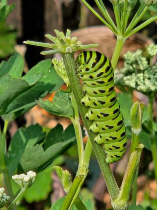 백승화님의 자유주제 · 자유게시판 작성글 사진