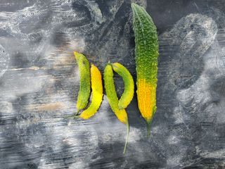 열매팜님의 기타작물 · 병해충상담 작성글 사진