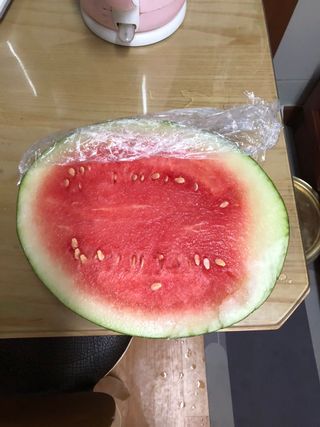 금동이네님의 자유주제 · 자유게시판 작성글 사진