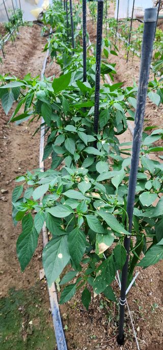 김경민님의 자유주제 · 자유게시판 작성글 사진