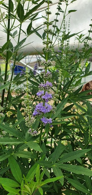 이후성님의 🍉여름을 나는 방법 · 참여글 작성글 사진