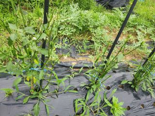 도깨비윤샘 님의 자유주제 · 자유게시판 작성글 사진