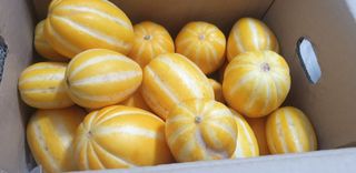 SOUL님의 자유주제 · 자유게시판 작성글 사진