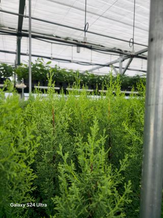 김선웅[포포나무]님의 자유주제 · 자유게시판 작성글 사진