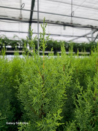 김선웅[포포나무]님의 자유주제 · 자유게시판 작성글 사진