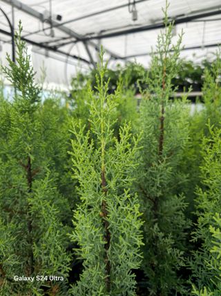 김선웅[포포나무]님의 자유주제 · 자유게시판 작성글 사진