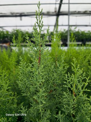 김선웅[포포나무]님의 자유주제 · 자유게시판 작성글 사진