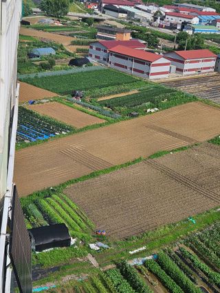 영진농장님의 들깨 · 영농일지 작성글 사진