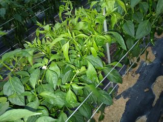 김관식님의 자유주제 · 자유게시판 작성글 사진