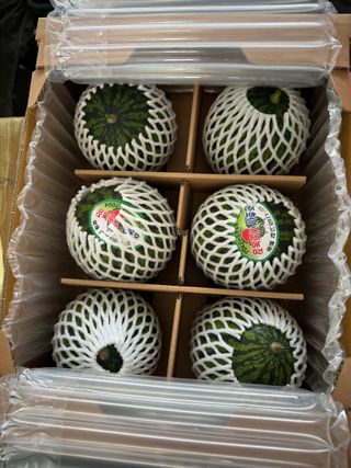 이영철,전남건설중기님의 자유주제 · 자유게시판 작성글 사진