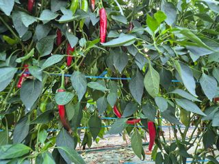 김혜순님의 자유주제 · 자유게시판 작성글 사진