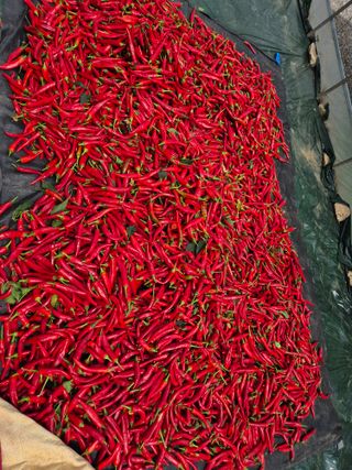 김혜순님의 자유주제 · 자유게시판 작성글 사진