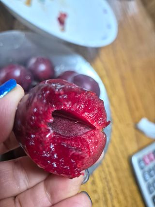 김혜순님의 자유주제 · 자유게시판 작성글 사진