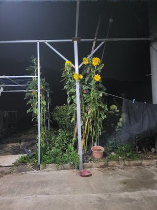 논산상월안정환님의 자유주제 · 자유게시판 작성글 사진