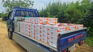 종합선물세트님의 복숭아 · 영농일지 작성글 사진