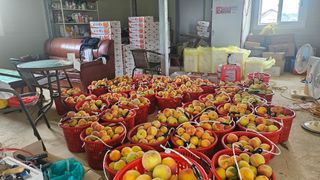 종합선물세트님의 복숭아 · 영농일지 작성글 사진