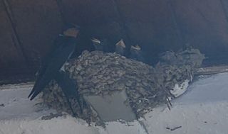 하은와송~♡♡♡~님의 🍉여름을 나는 방법 · 참여글 작성글 사진