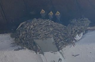 하은와송~♡♡♡~님의 🍉여름을 나는 방법 · 참여글 작성글 사진