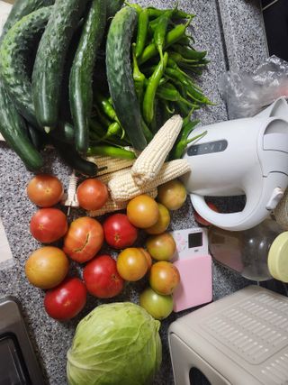 이승엽님의 자유주제 · 자유게시판 작성글 사진