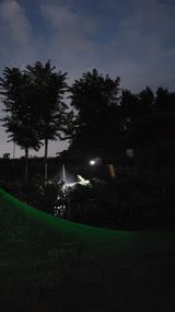 팜모닝 자유주제·자유게시판 게시글 이미지