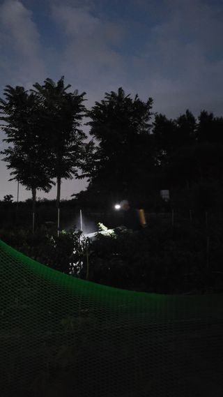 선영~~님의 자유주제 · 자유게시판 작성글 사진