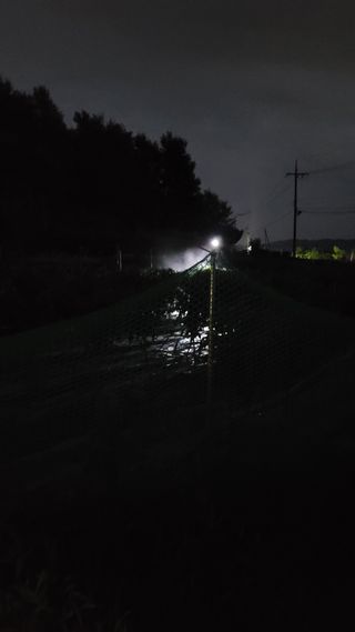 선영~~님의 자유주제 · 자유게시판 작성글 사진