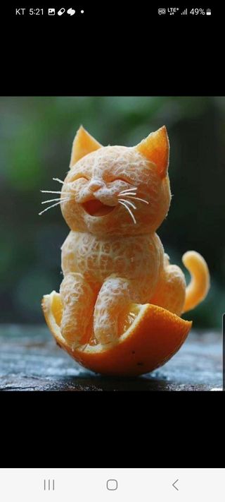 선영~~님의 자유주제 · 자유게시판 작성글 사진