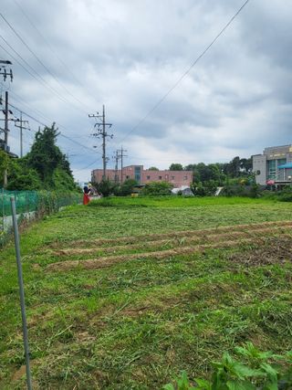 노후를풍요롭게님의 들깨 · 영농일지 작성글 사진