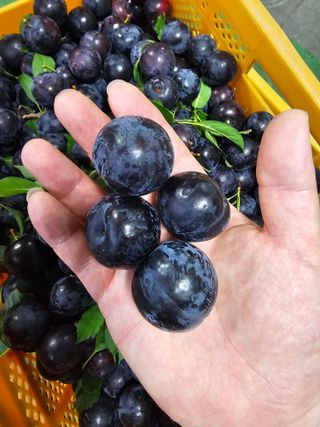 천승준님의 작성글 사진