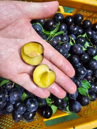 천승준님의 작성글 사진